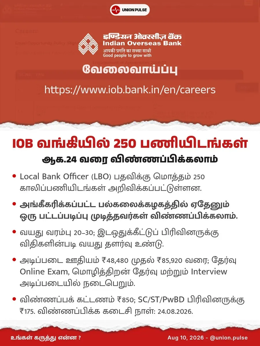 IOB வங்கியில் 250 பணியிடங்கள்
